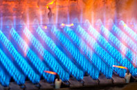 Throckenholt gas fired boilers